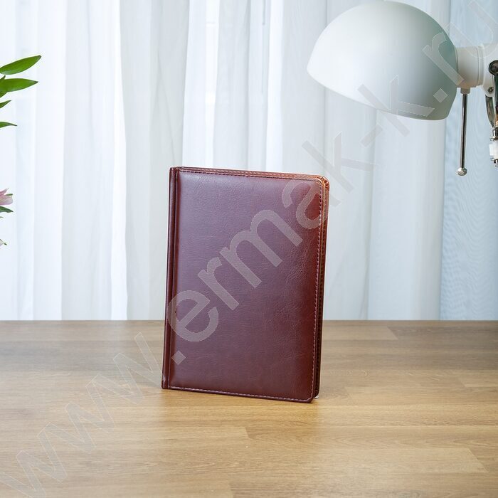 Ежедневник н/дат А5 136л Sidney Nebraska коричневый/золотой обрез,ляссе,линейка | Фото 6