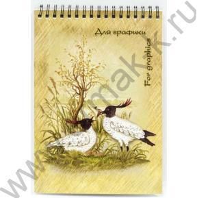 Блокнот д/графики 20л А5