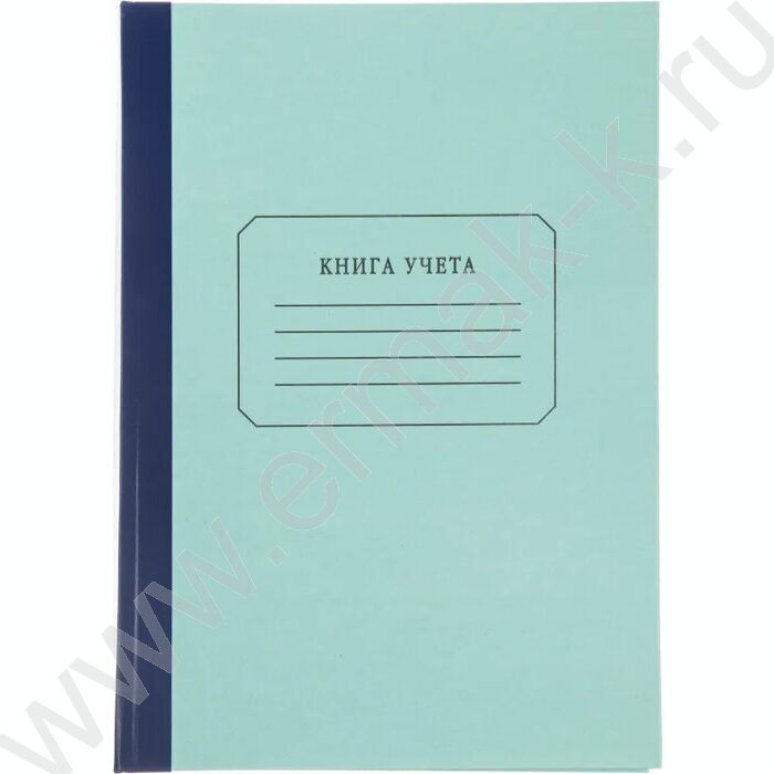Книга Учёта  96л линия г/б | Фото 1
