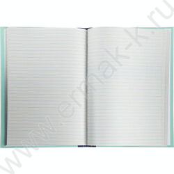 Книга Учёта  96л линия г/б | Фото 2