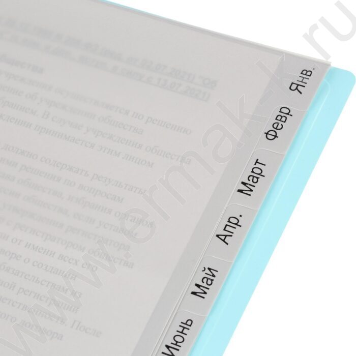 Разделитель листов пластик А4 по месяцам Январь-Декабрь 12разделов | Фото 5