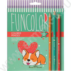 Карандаши пластиковые 24цв Funcolor 4вида | Фото 6
