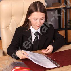 Файлы (мультифора) А4 180мкм расширяющийся 4отв | Фото 4