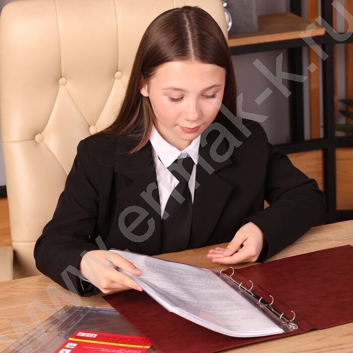 Файлы (мультифора) А4 180мкм расширяющийся 4отв | Фото 4