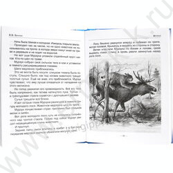 Школьная библиотека.Лесные домишки.В.Бианки | Фото 3