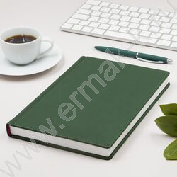 Ежедневник н/дат А5 136л Velvet темно-зеленый   | Фото 3