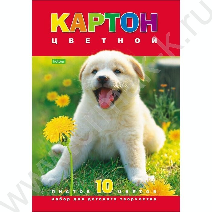 Картон цв. А4 10л/10цв Белый щенок | Фото 1