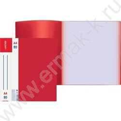 Папка  80 файлов Daily красная, сменная этикетка | Фото 2