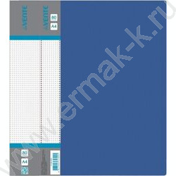 Папка  80 файлов Daily синяя, сменная этикетка | Фото 1