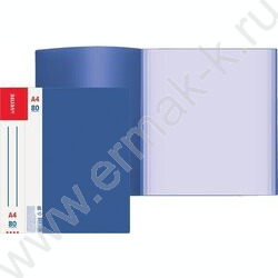 Папка  80 файлов Daily синяя, сменная этикетка | Фото 2