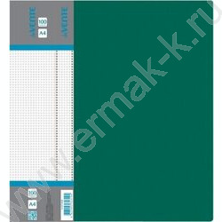 Папка 100 файлов Daily зелёная, сменная этикетка | Фото 1