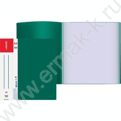 Папка 100 файлов Daily зелёная, сменная этикетка | Фото 2