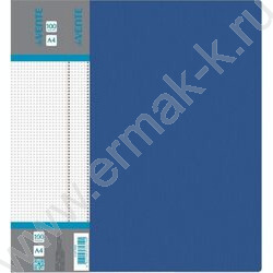 Папка 100 файлов Daily синяя, сменная этикетка | Фото 1