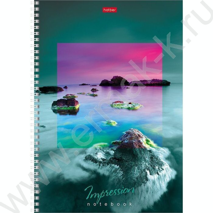 Тетрадь  80л А4 клетка/спираль "Impressions" 4вида | Фото 1