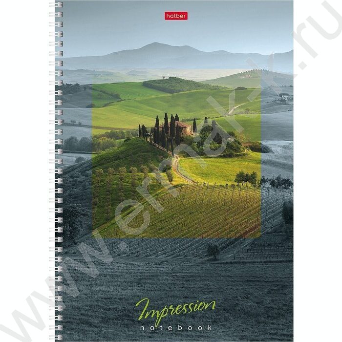 Тетрадь  80л А4 клетка/спираль "Impressions" 4вида | Фото 2