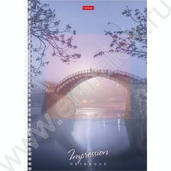 Тетрадь  80л А4 клетка/спираль "Impressions" 4вида | Фото 3