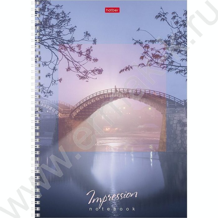 Тетрадь  80л А4 клетка/спираль "Impressions" 4вида | Фото 3