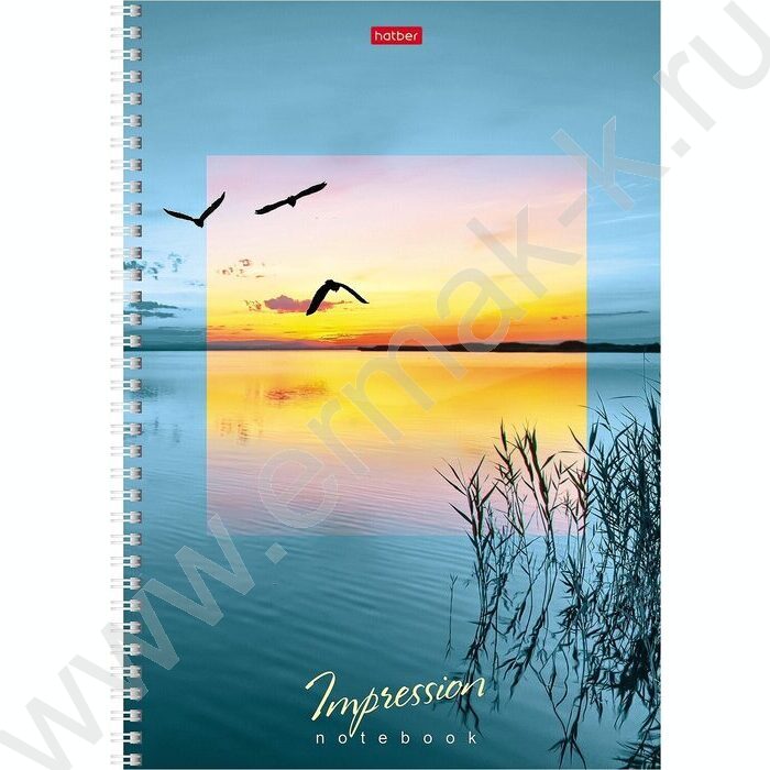 Тетрадь  80л А4 клетка/спираль "Impressions" 4вида | Фото 4