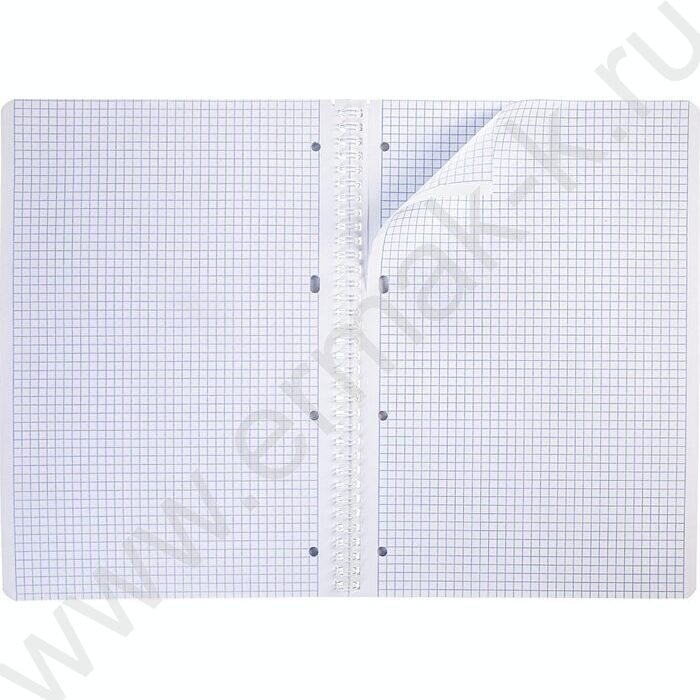 Тетрадь  80л А4 клетка/спираль "Impressions" 4вида | Фото 5