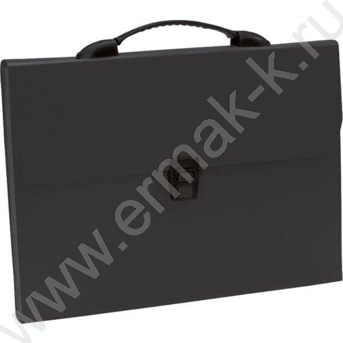 Папка-портфель с замком "Daily" 1отд. черный А4 | Фото 1