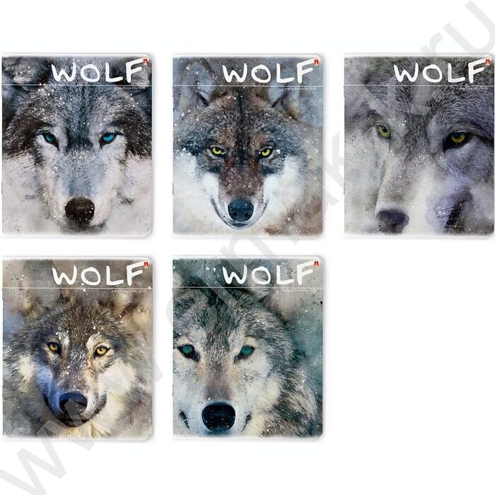 Тетрадь  48л клетка "Загадочные волки" 5видов | Фото 1