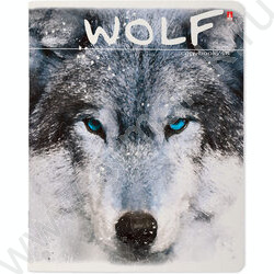 Тетрадь  48л клетка "Загадочные волки" 5видов | Фото 2