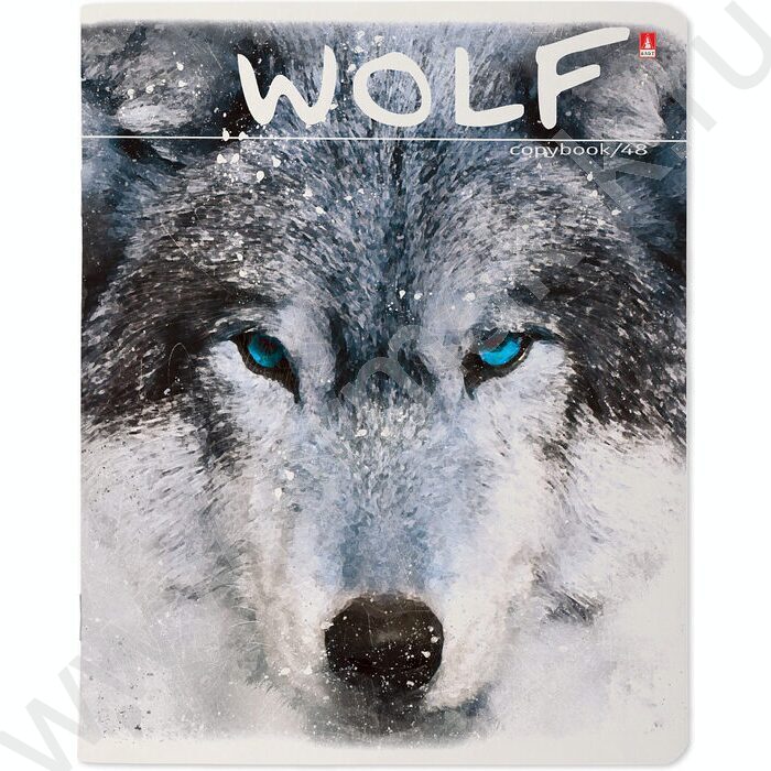 Тетрадь  48л клетка "Загадочные волки" 5видов | Фото 2