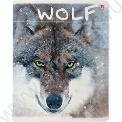 Тетрадь  48л клетка "Загадочные волки" 5видов | Фото 3