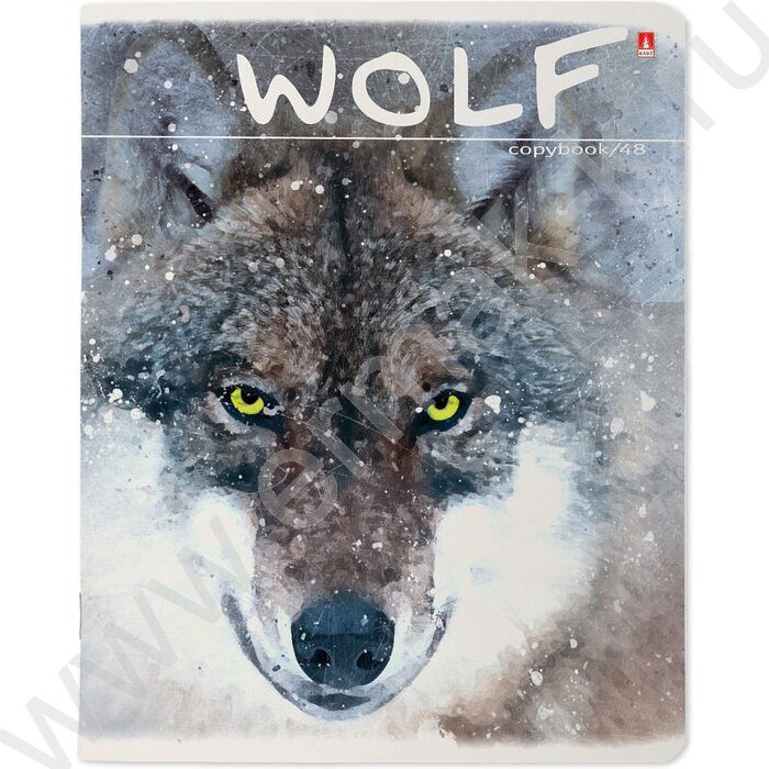 Тетрадь  48л клетка "Загадочные волки" 5видов | Фото 3