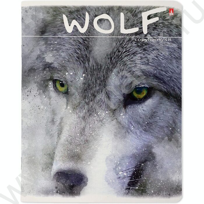 Тетрадь  48л клетка "Загадочные волки" 5видов | Фото 4