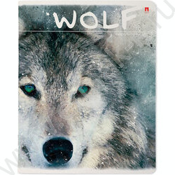 Тетрадь  48л клетка "Загадочные волки" 5видов | Фото 6