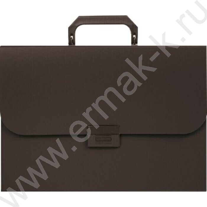 Папка-портфель с замком 13отд. черный А4 | Фото 1