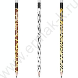 Карандаш ч/гр с ластиком HB Savanna круглый /туба | Фото 1