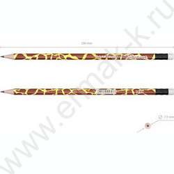 Карандаш ч/гр с ластиком HB Savanna круглый /туба | Фото 3