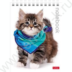 Блокнот  40л А6 спираль "Милые котята" | Фото 1
