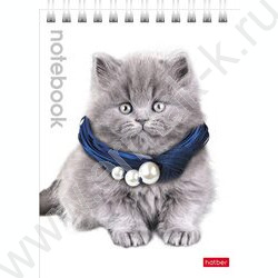 Блокнот  40л А6 спираль "Милые котята" | Фото 2