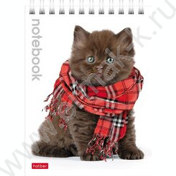 Блокнот  40л А6 спираль "Милые котята" | Фото 3
