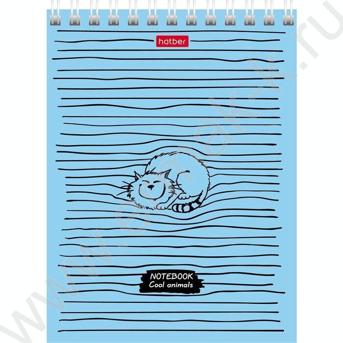 Блокнот  40л А6 спираль "COOL Animals" ассорти | Фото 1