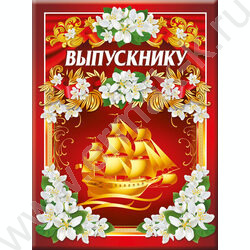 Папка адресная "Выпускнику" 3файла А4 | Фото 1