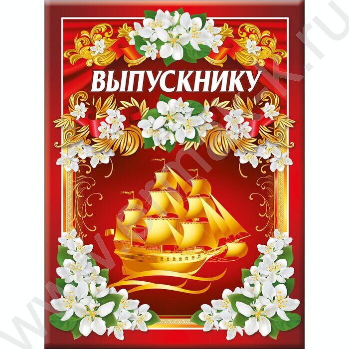 Папка адресная "Выпускнику" 3файла А4 | Фото 1