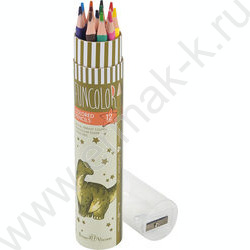 Карандаши пластиковые 12цв Funcolor 4вида карт.туба | Фото 4
