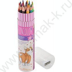 Карандаши пластиковые 18цв Funcolor 4вида карт.туба | Фото 3