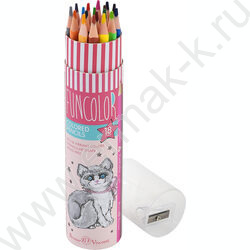 Карандаши пластиковые 18цв Funcolor 4вида карт.туба | Фото 5