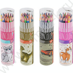 Карандаши пластиковые 24цв Funcolor 4вида карт.туба | Фото 1