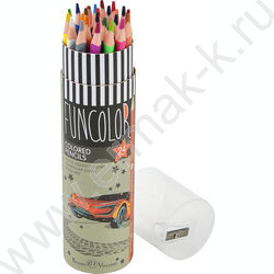 Карандаши пластиковые 24цв Funcolor 4вида карт.туба | Фото 3