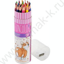 Карандаши пластиковые 24цв Funcolor 4вида карт.туба | Фото 4
