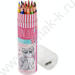 Карандаши пластиковые 24цв Funcolor 4вида карт.туба | Фото 5