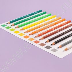 Карандаши пластиковые 24цв Funcolor 4вида карт.туба | Фото 9