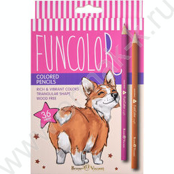 Карандаши пластиковые 36цв Funcolor 4вида | Фото 2