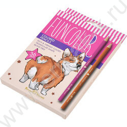 Карандаши пластиковые 36цв Funcolor 4вида | Фото 3